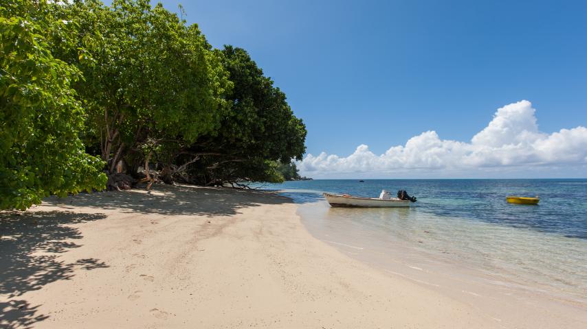 Strände auf Praslin Die schönsten Strände auf einen Blick