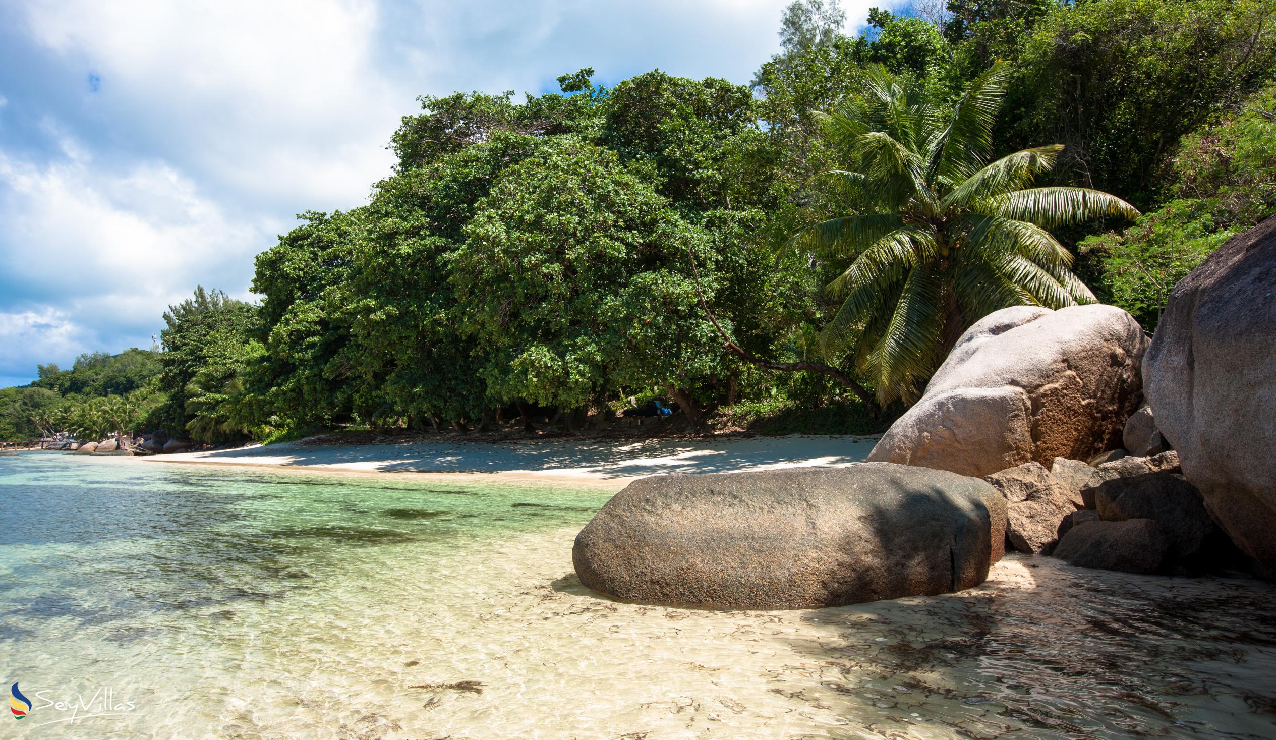 Foto 16: Anse Cimitière - Praslin (Seychelles)