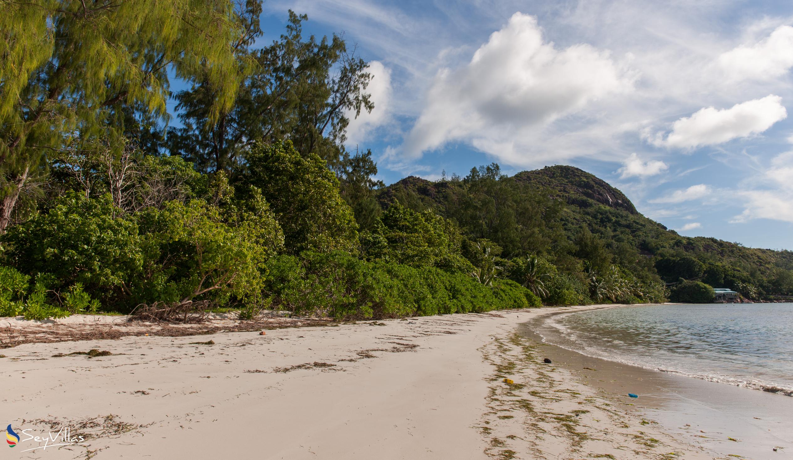 Photo 3: Anse Madge - Praslin (Seychelles)