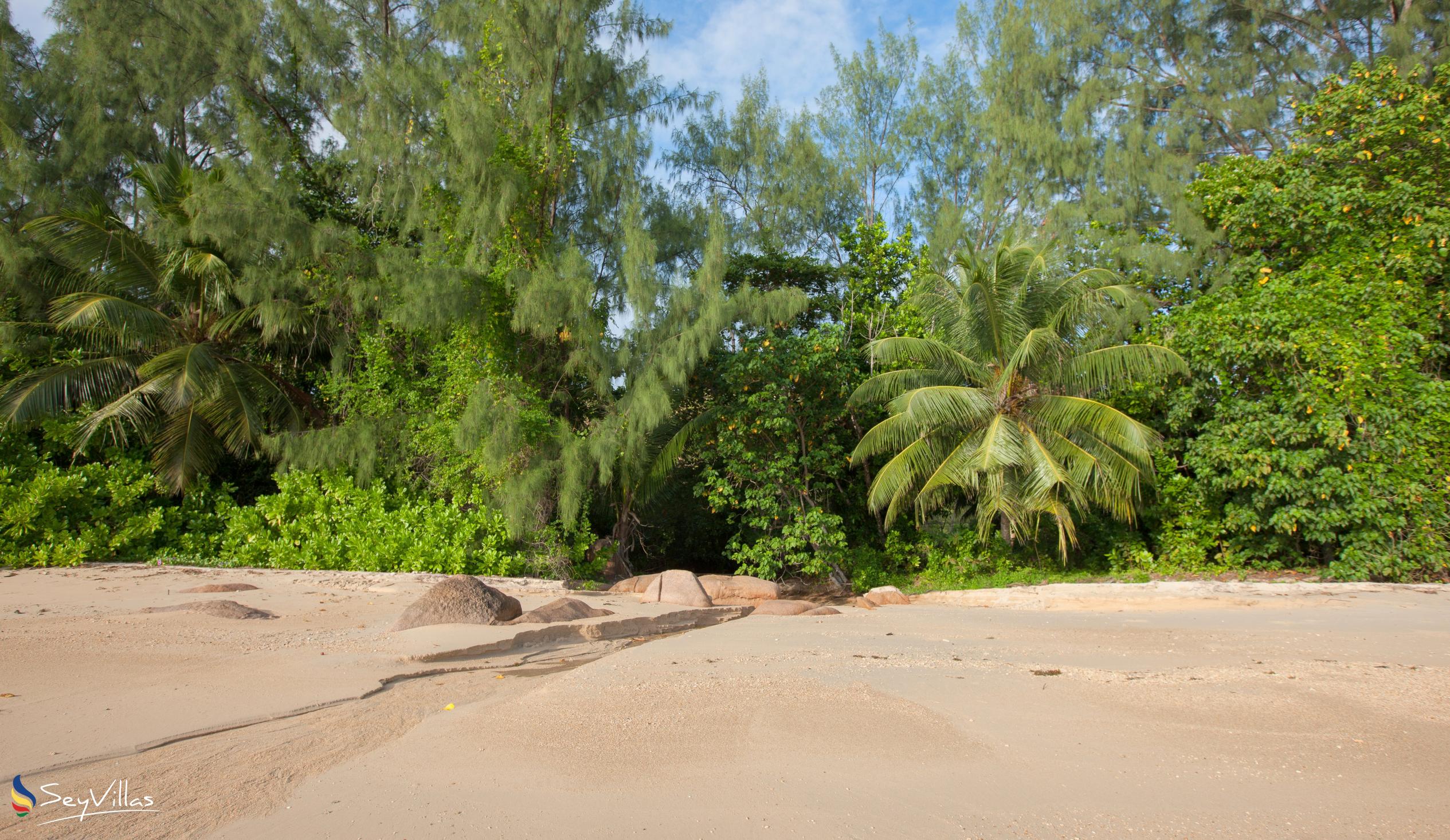 Foto 7: Anse Pasquière - Praslin (Seychelles)