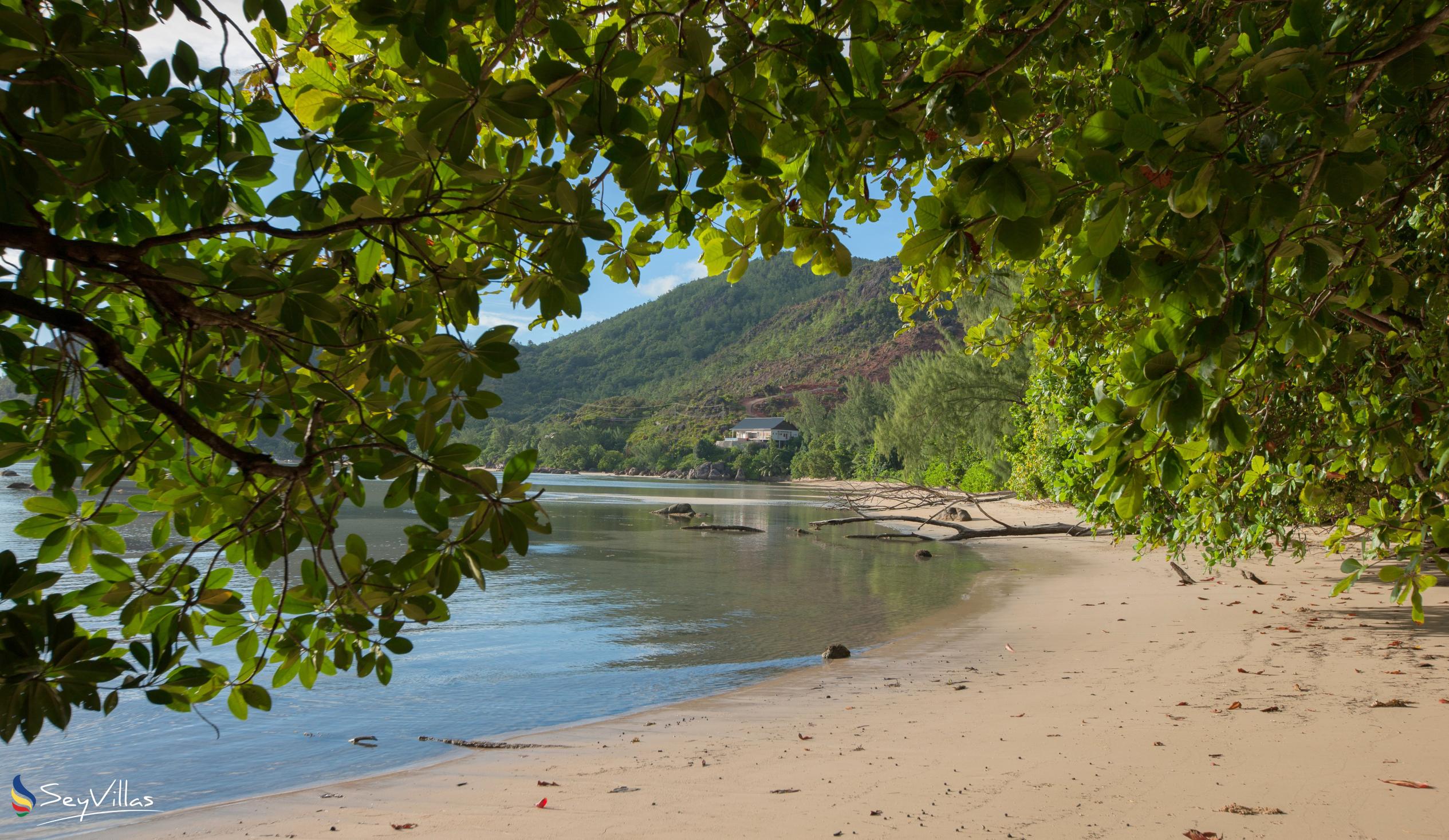 Photo 8: Anse Pasquière - Praslin (Seychelles)