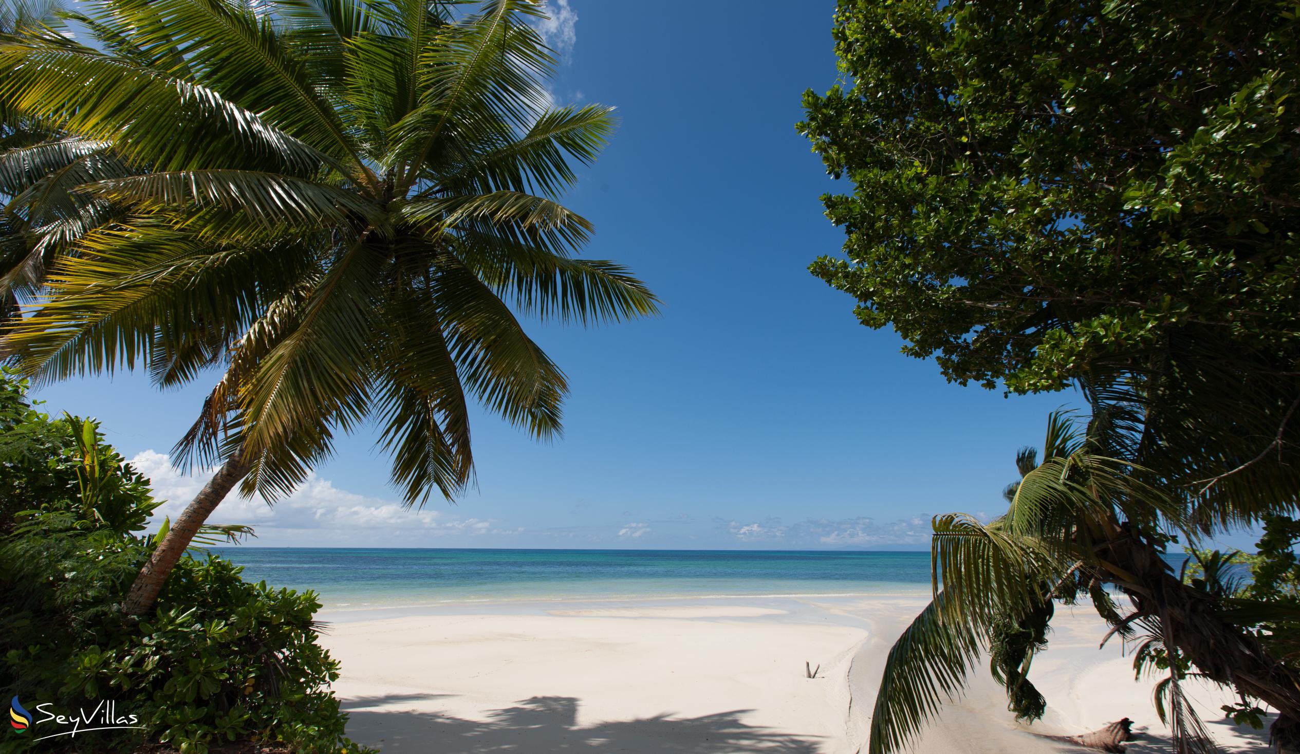 Photo 18: Anse St Sauveur - Praslin (Seychelles)