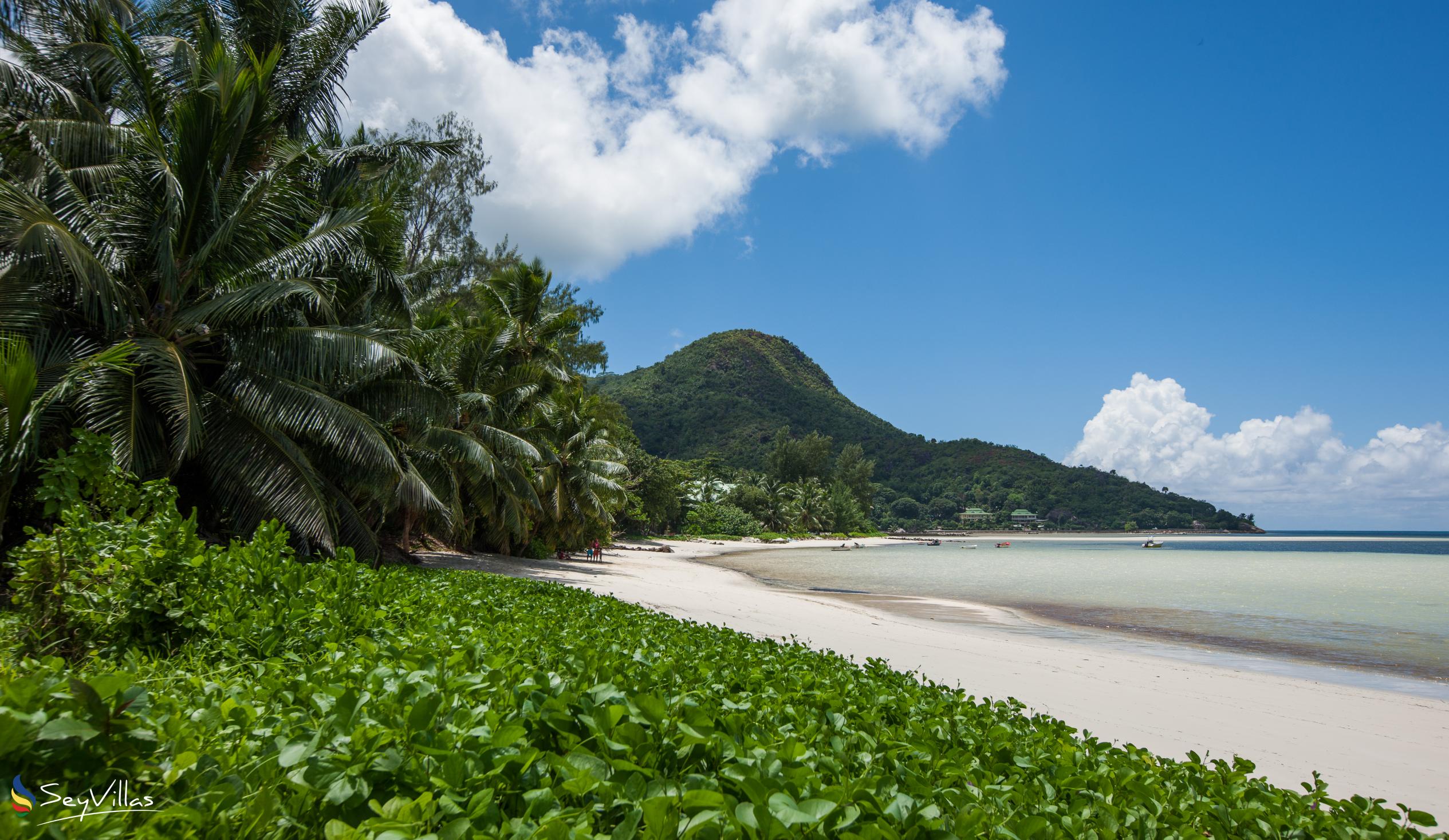 Photo 8: Fond de l'Anse (Grand Anse) - Praslin (Seychelles)