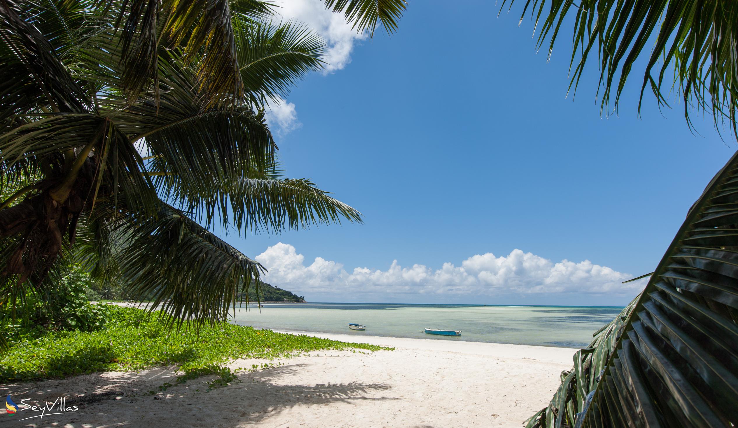 Foto 10: Fond de l'Anse (Grand Anse) - Praslin (Seychellen)