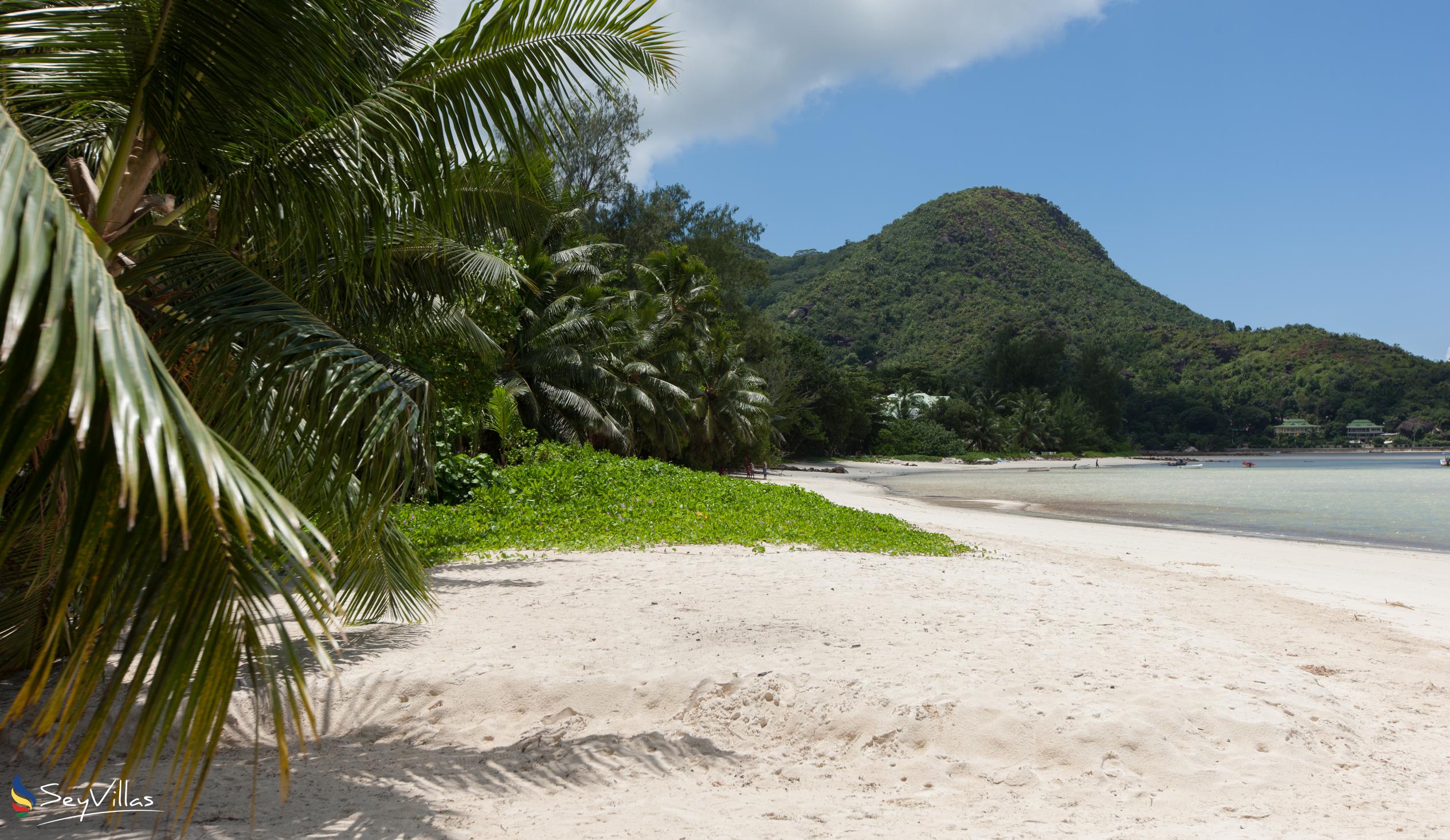 Photo 11: Fond de l'Anse (Grand Anse) - Praslin (Seychelles)