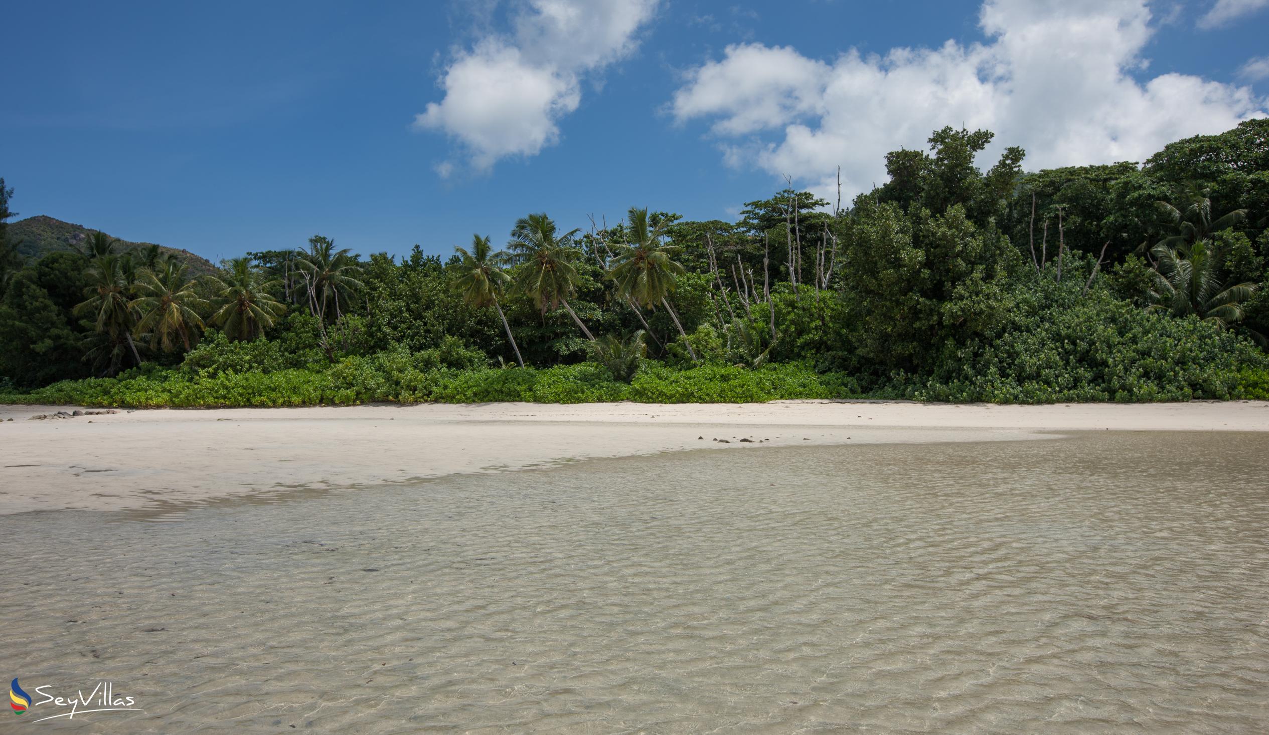 Foto 14: Fond de l'Anse (Grand Anse) - Praslin (Seychellen)