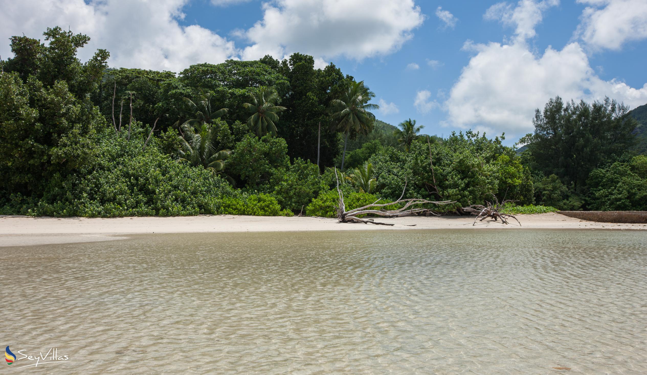 Photo 15: Fond de l'Anse (Grand Anse) - Praslin (Seychelles)