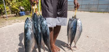 Angel Tours - Journée complète de pêche à Praslin