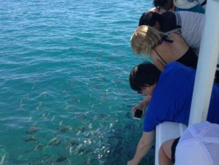 excursion-best-tours-seychelles-glass-bottom-boat-tour-st-anne-marine-park-img-682
