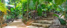 Excursions: Tropik Travel & Tours - Excursion privée d'une journée à Praslin