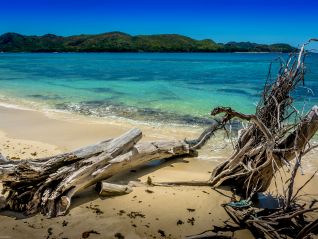 private-guided-tour-tropik-travel-tours-private-full-day-excursion-praslin-island-img-832