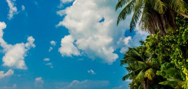 Tropik Travel & Tours: Private full-day excursion Praslin Island