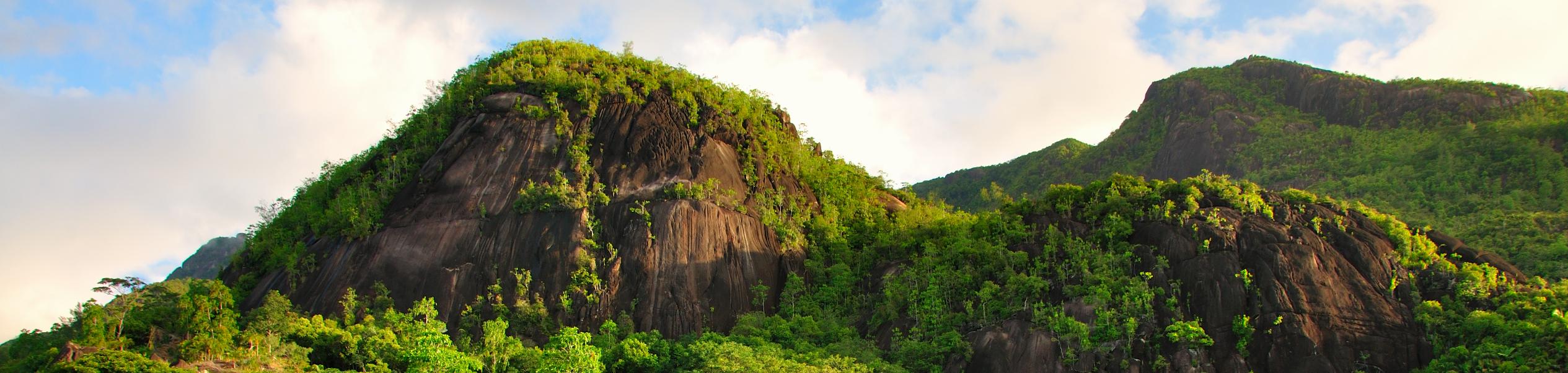 Image of beach in the Seychelles