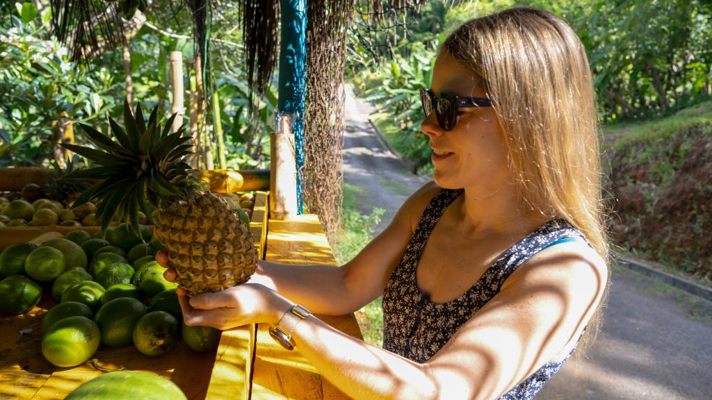 Visitors can sample local fruits at the Energy Bar Visitors can sample local fruits at the Energy Bar