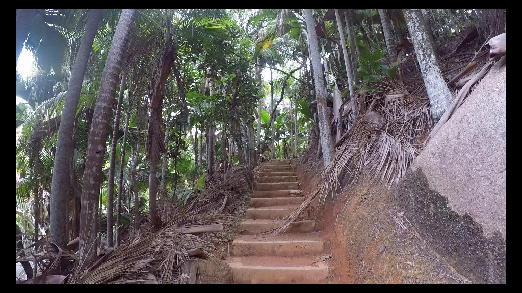 Stairs through the park