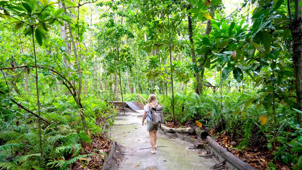 Hiking trails in the Veuve Nature Reserve Hiking trails in the Veuve Nature Reserve