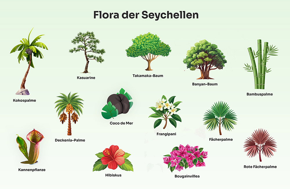 Flora der Seychellen