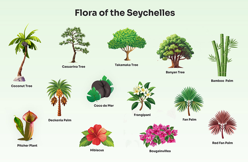 Flora of the Seychelles