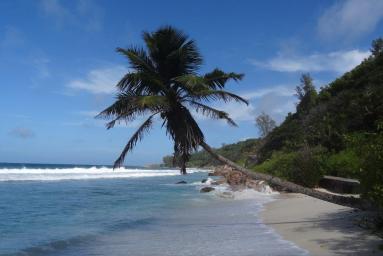 Praslin, La Digue & Silhouette – unser Inselhopping auf den Seychellen