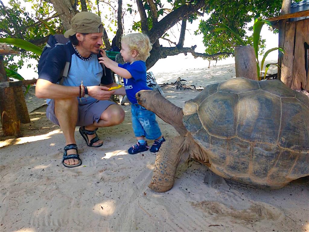 Tartaurghe per strada - papà e bimbo Tartaurghe per strada - papà e bimbo