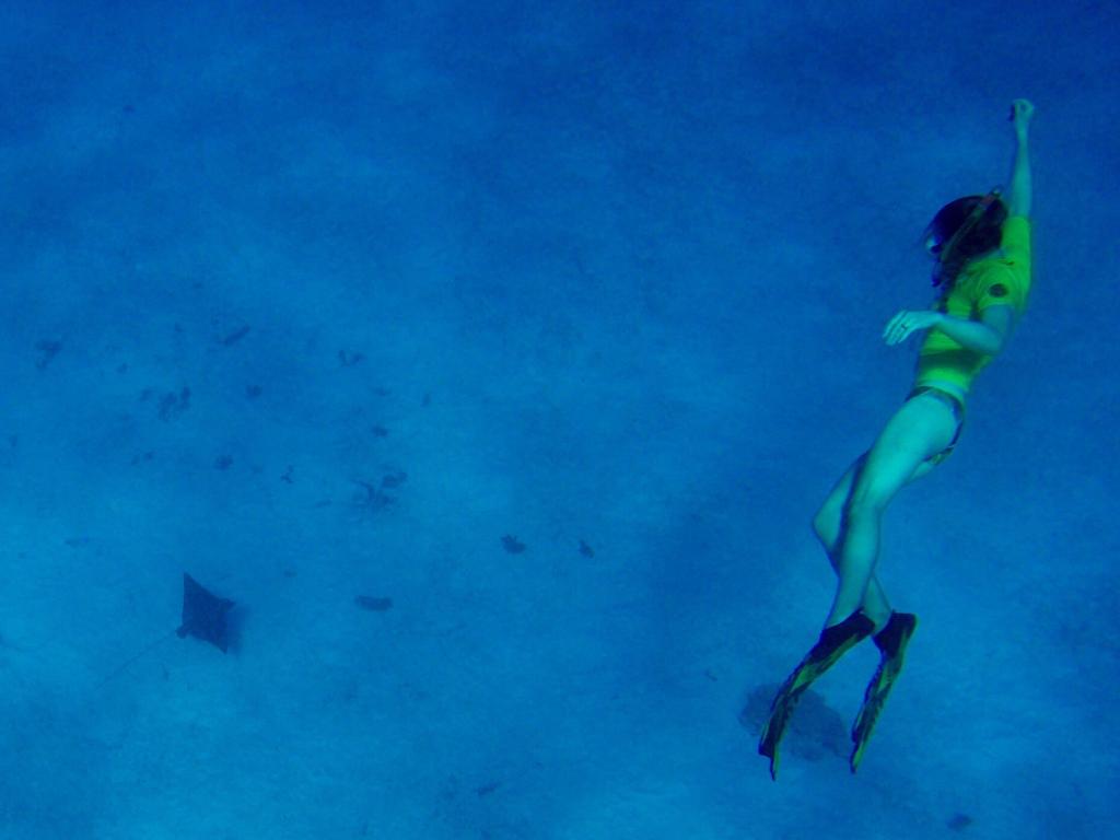 Schnorcheln rund um Sister Island