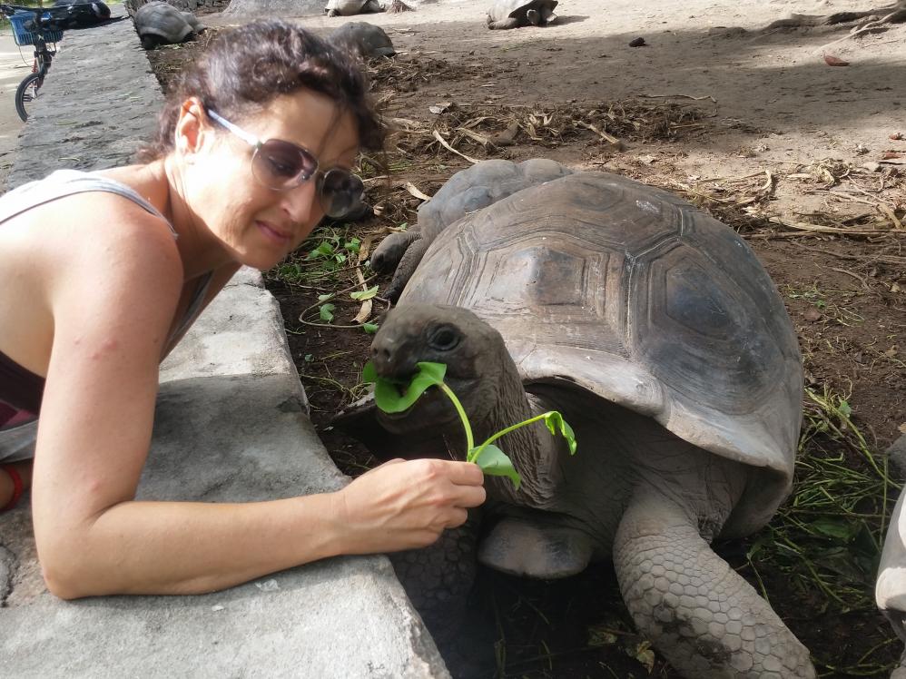 Paola e Uga la tartaruga – Union Estate Park, La Digue
