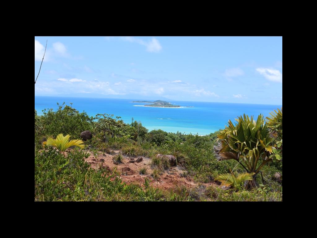 Blick Cousin und Cousine Blick Cousin und Cousine