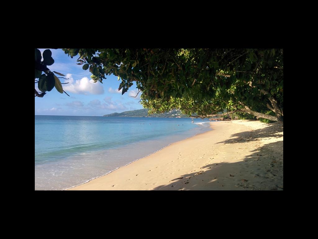 Unser Hausstrand in Bel Ombre Unser Hausstrand in Bel Ombre