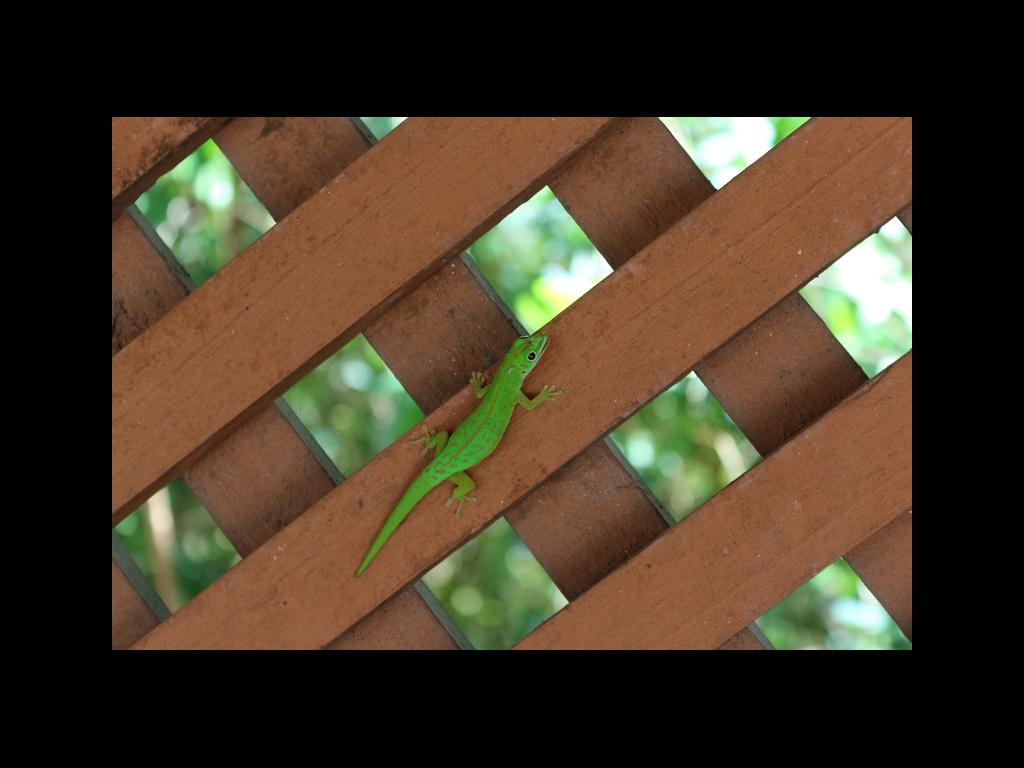 Die kleinen sind überall Die kleinen sind überall