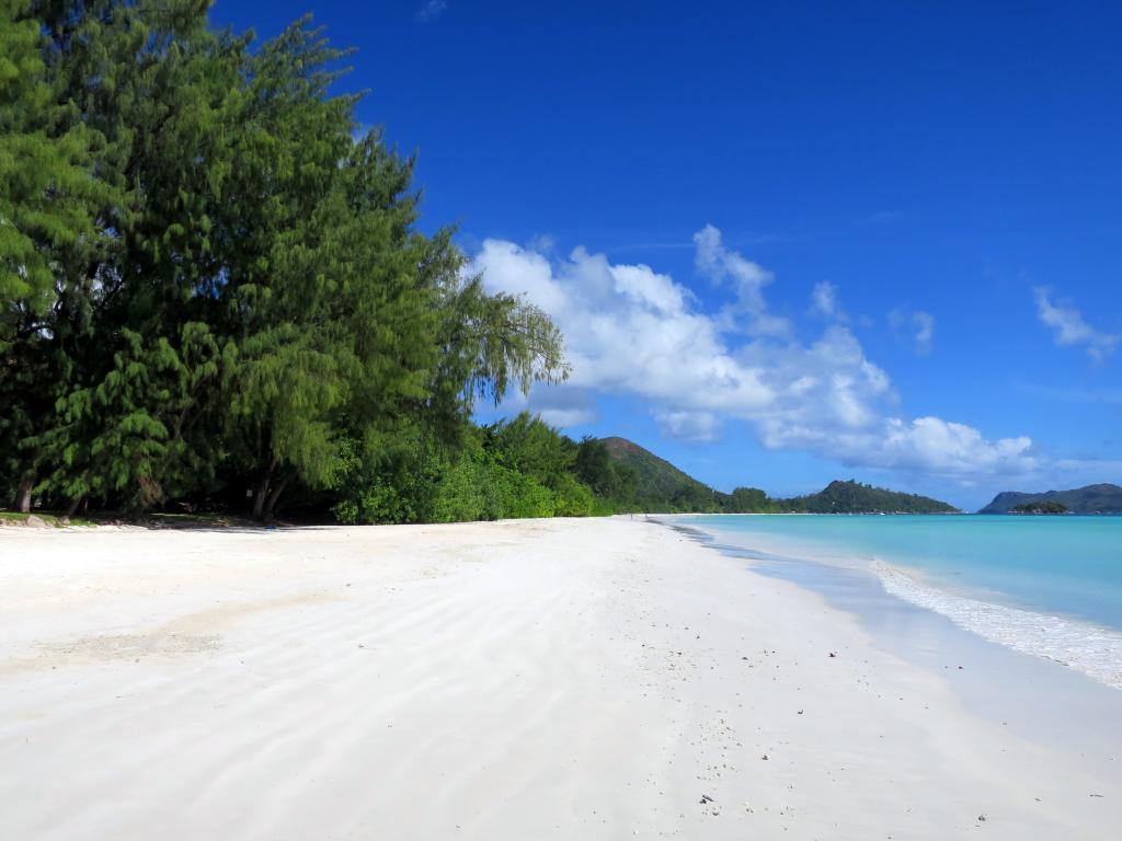 <beach>83|Anse Volbert (Cote d'Or)</beach> <beach>83|Anse Volbert (Cote d'Or)</beach>