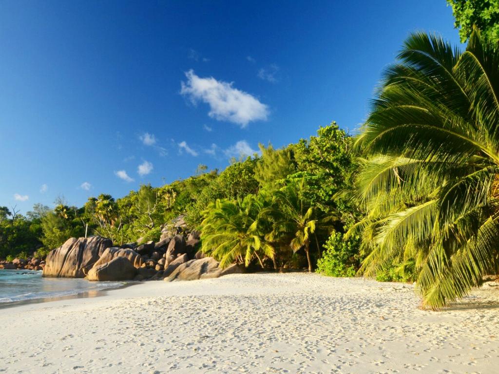 <beach>69|Anse Georgette</beach>