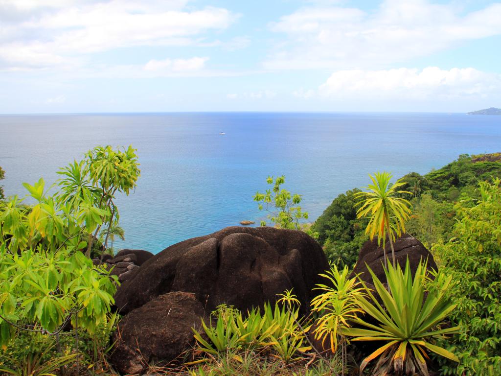 <beach>38|Anse Major</beach>