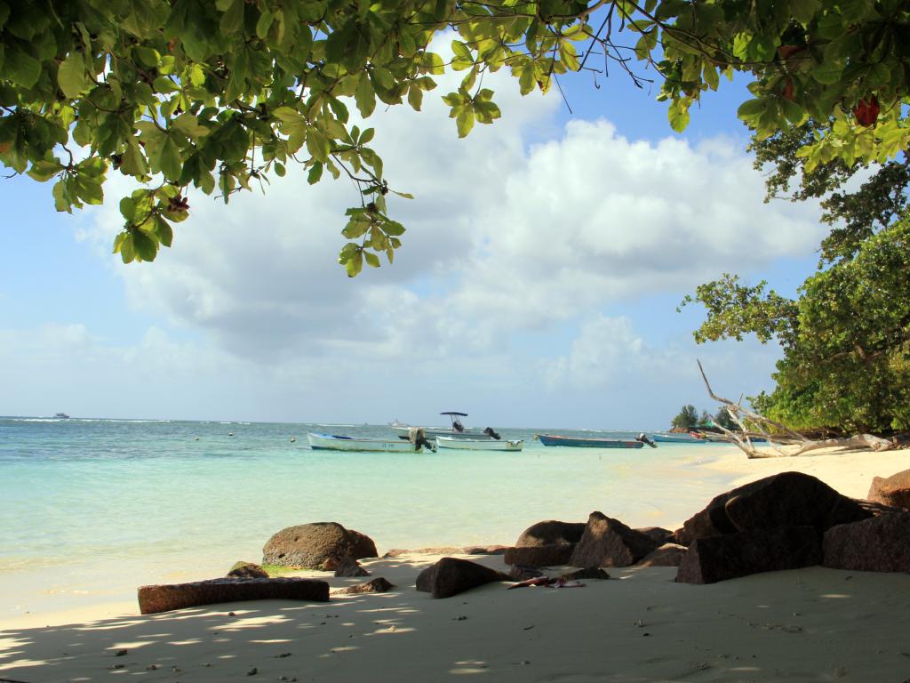 <accommodation>86|Le Surmer</accommodation>