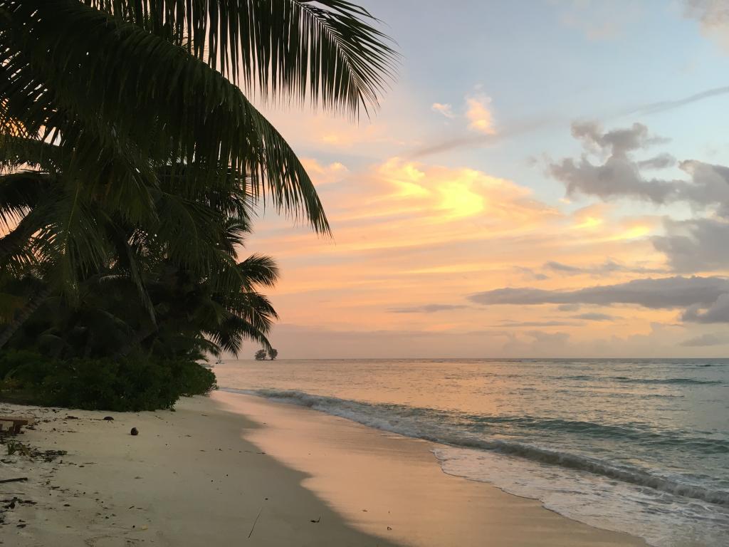<beach>9|Anse La Réunion</beach>