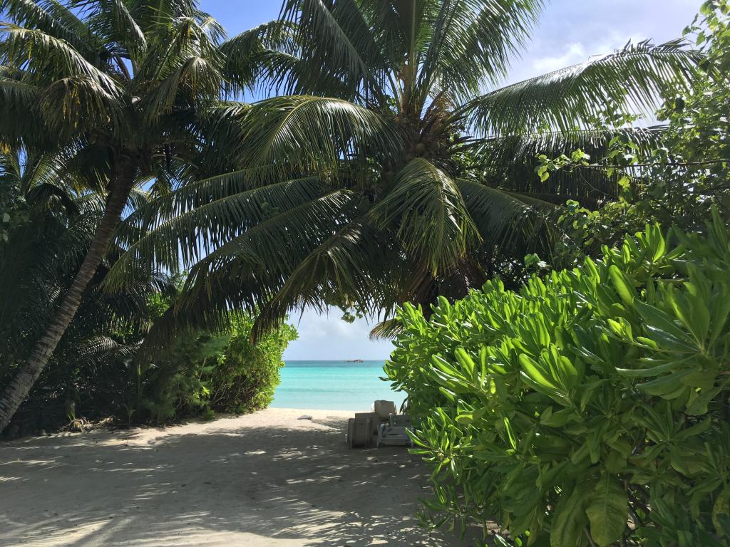 <beach>83|Anse Volbert (Cote d'Or)</beach>