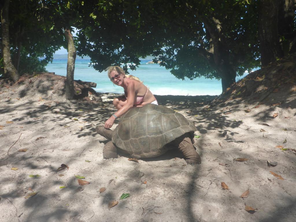 Begegnung mit einer Riesenschildkröte