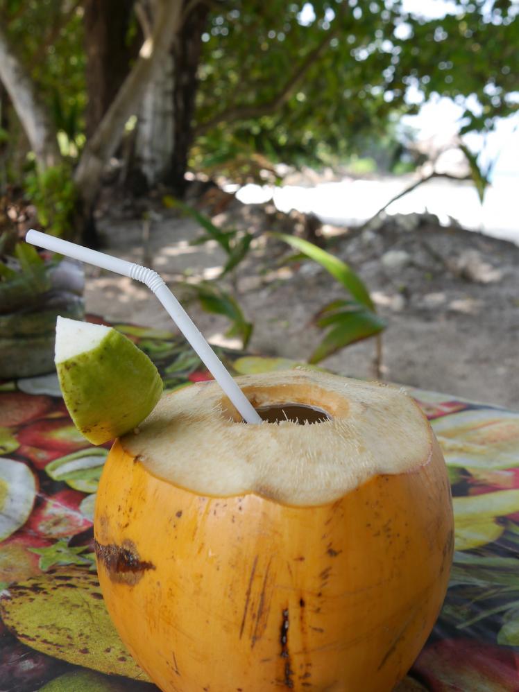 erfrischender Kokosnussdrink