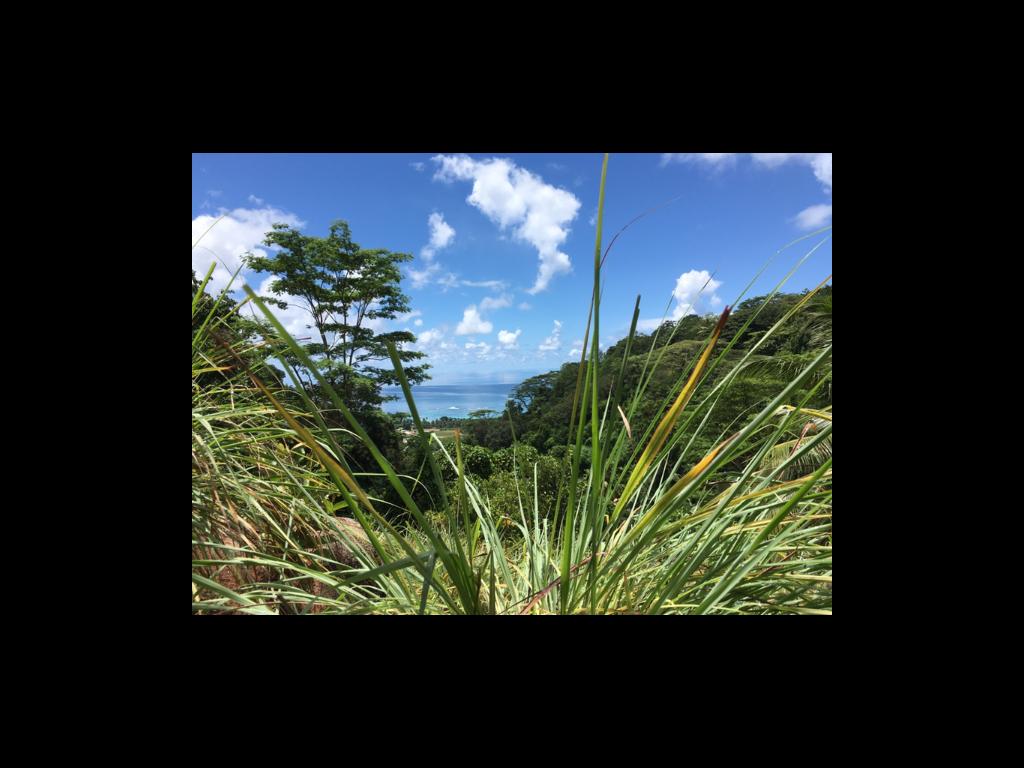 Ausblick vom Jardin de Roi, Mahé,
