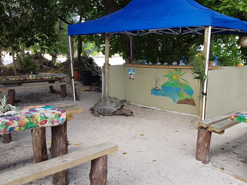 Strandbar auf La Digue