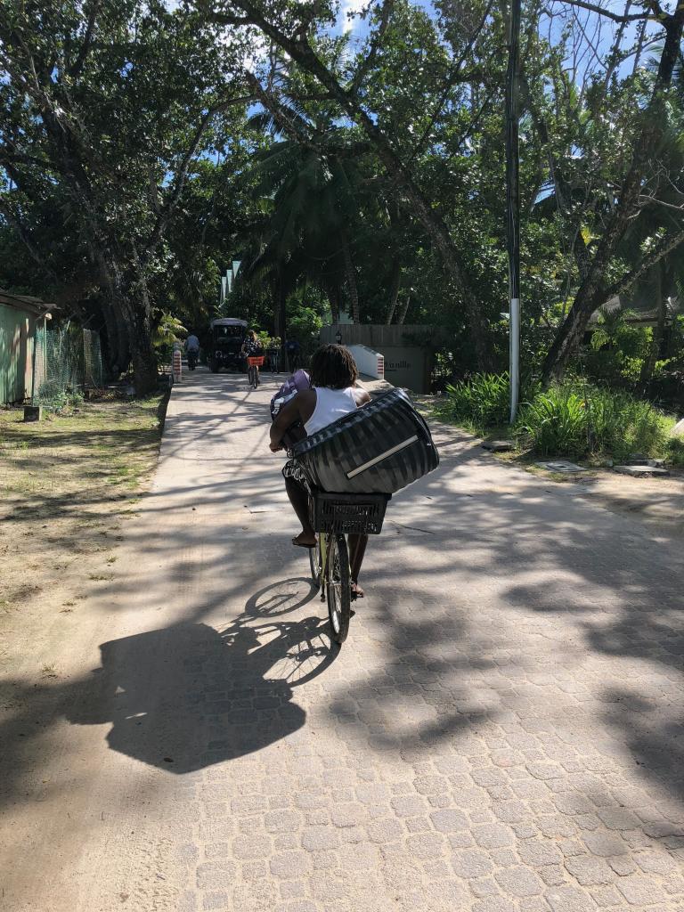 Transportfahrrad :-)