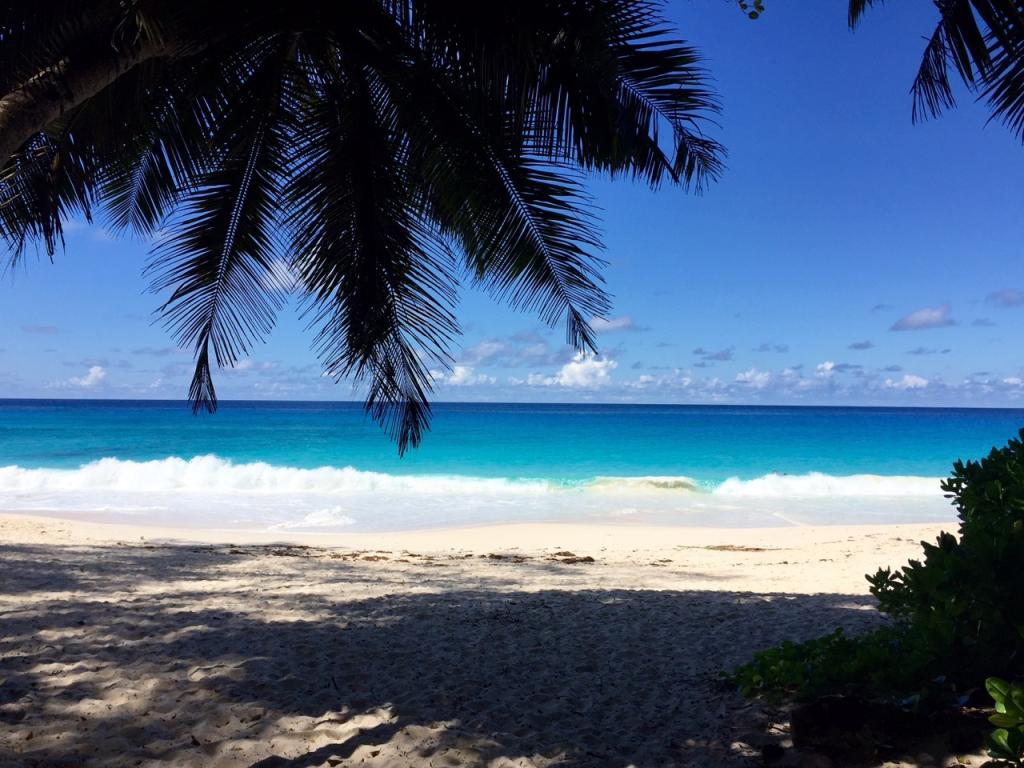 Anse Intendance Anse Intendance