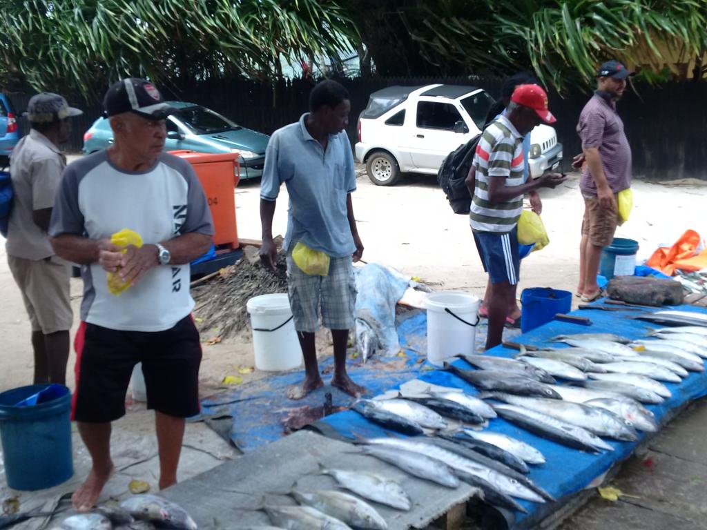 Mahe, Fangfrischer Fisch Mahe, Fangfrischer Fisch