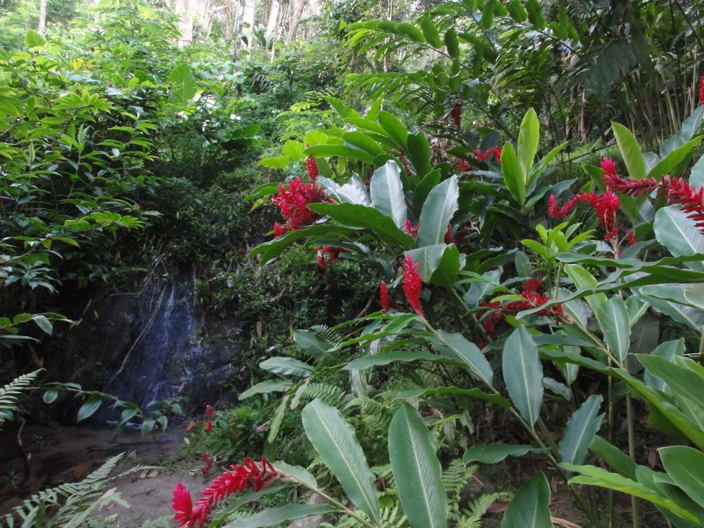 Mahe, Jardins du Roi Mahe, Jardins du Roi