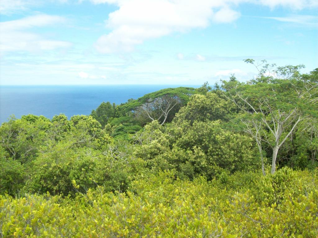 Wanderung zum Bellevue