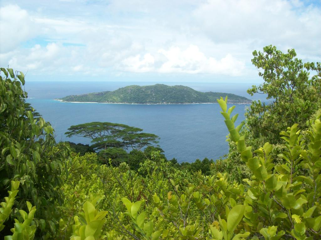 Wanderung zum Bellevue