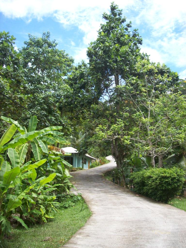 Wanderung zum Bellevue