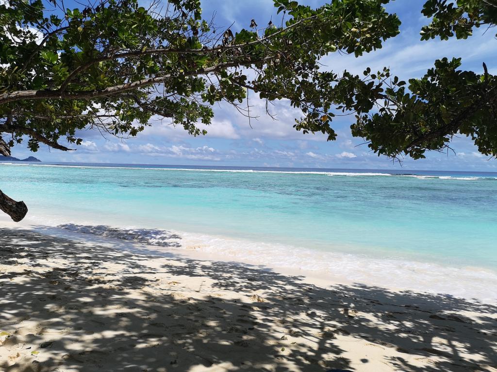 Strand auf Silhouette Strand auf Silhouette