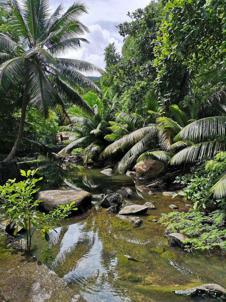 Ich bin ein Start, holt mich hier NICHT raus!! Ich bin ein Start, holt mich hier NICHT raus!!