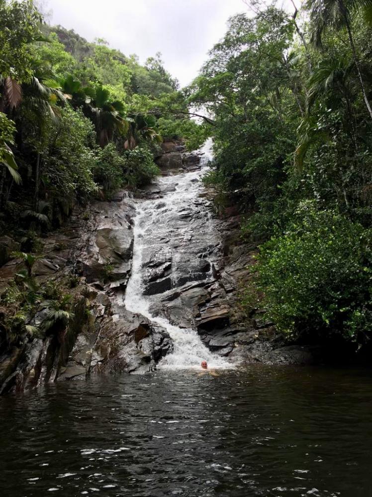 Wasserfall auf Mahé