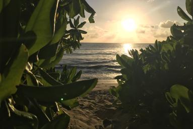 Seychellen – für Naturliebhaber und Individualisten!
